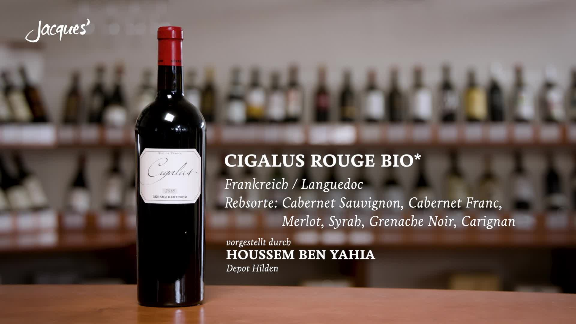 Cigalus Rouge Bio* online kaufen | Jacques' Wein-Depot